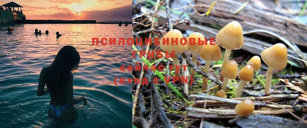 apvp Бронницы