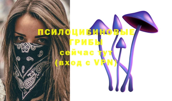 apvp Бронницы