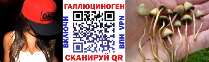 Галлюциногенные грибы ЛСД  цена наркотик  Тверь 